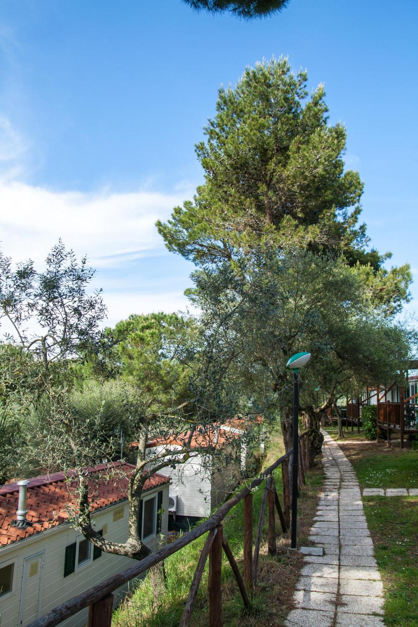 Cerquestra Camping Village Monte del Lago Extérieur photo